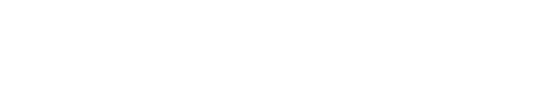 Bionical Solutions